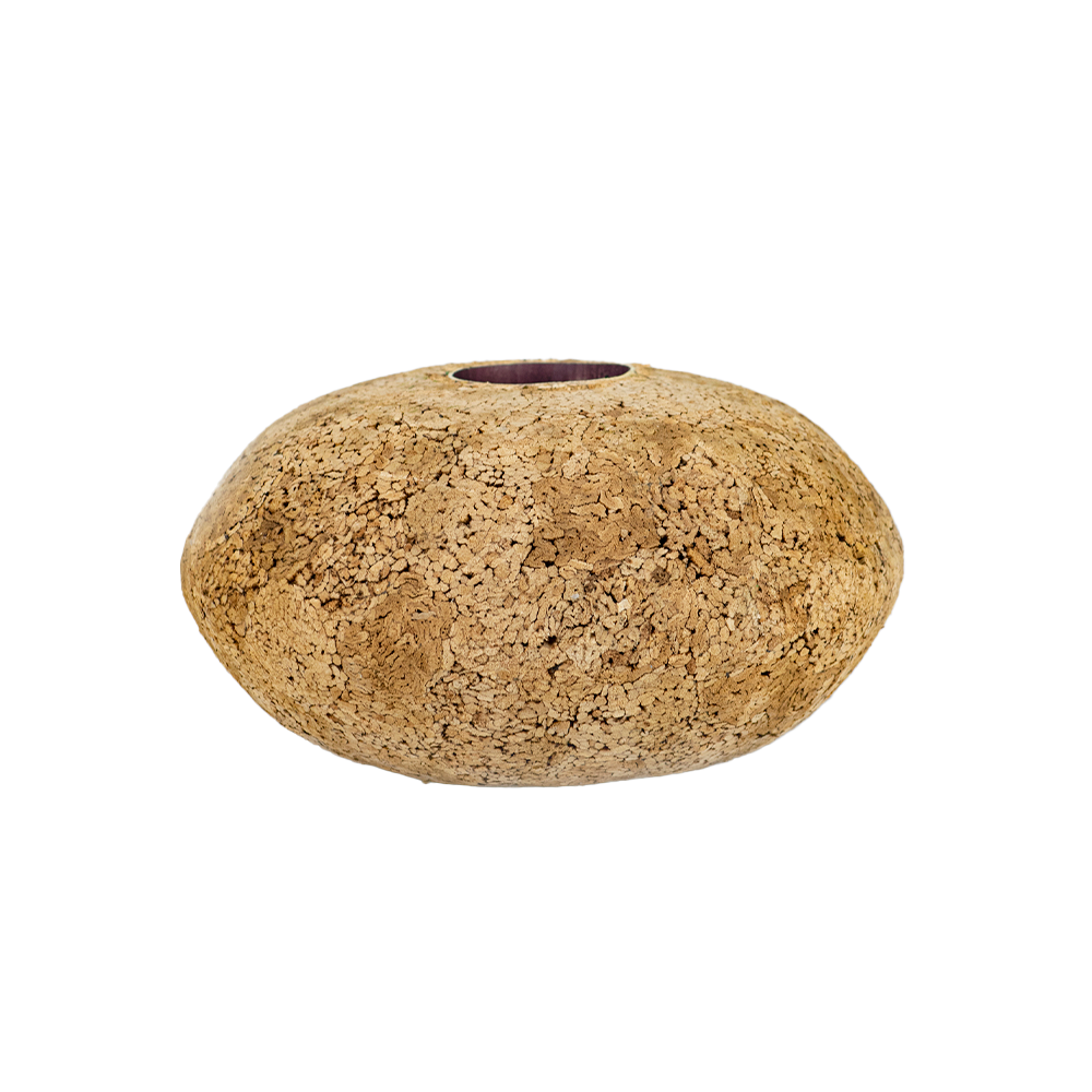 Cork Vase
